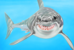 Michael Loeb "Sharky", 140 x 200 cm, 2013, Oil on Canvas